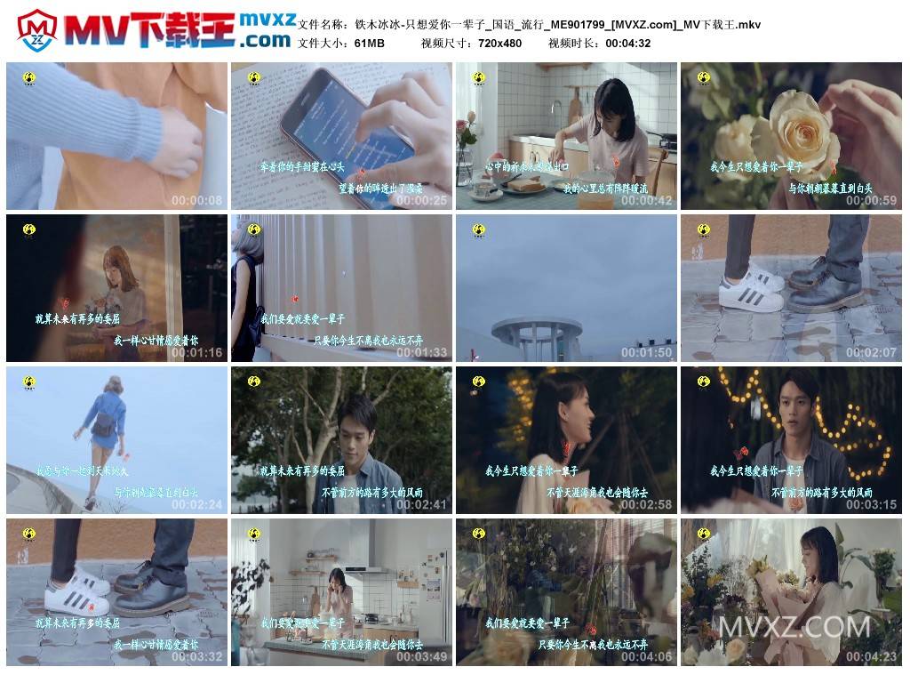 铁木冰冰-只想爱你一辈子_国语_流行_ME901799
